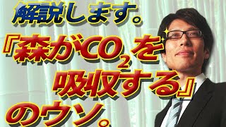 「森が二酸化炭素を吸収する」のウソ。カラクリはこうです。｜竹田恒泰チャンネル2