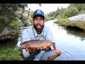 CATCHING BIG FISH ON A SMALL CREEK