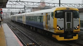 E257系500番台NB-16編成 特急マザーファーム号君津行き八王子駅入線