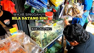 SEGALANYA DISINI - LUBUK BUAT PEMINAT IKAN HIASAN | ONE STOP CENTRE