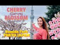 CHERRY BLOSSOM #さくら and TOKYO SKYTREE IN SUMIDA TOKYO JAPAN #cherryblossom #sakura #travelvlog