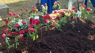 A Final Farewell to My Beloved Aunt: Celebrating a Life Well Lived.