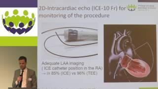 Martin Swaans - Imaging Techniques: ICE, fusion imaging, and more