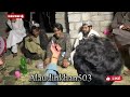 pashto bandar shaesta tapay viralvideo