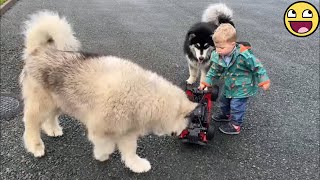 💞When Cuteness Meets Chaos: Dogs \u0026 Babies 2025! 🐾👶😂