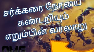 சர்க்கரை நோயை கண்டறியும்  எறும்பின் வரலாறு