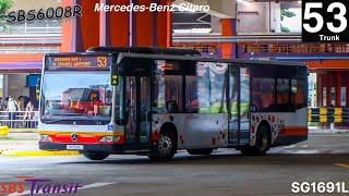 (Joyride) Pixel Citaro ride on service 53