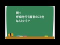 ⑭中学理科　呼吸・血液の循環排出のしくみ 一問一答