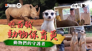 【瞧百職#05】開箱六福村動物保育員的一天 幫犀牛刷背、餵狐獴、清大便樣樣都辛苦