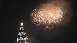 【TDS】スカイハイ・ウィッシュ 2016/11/08