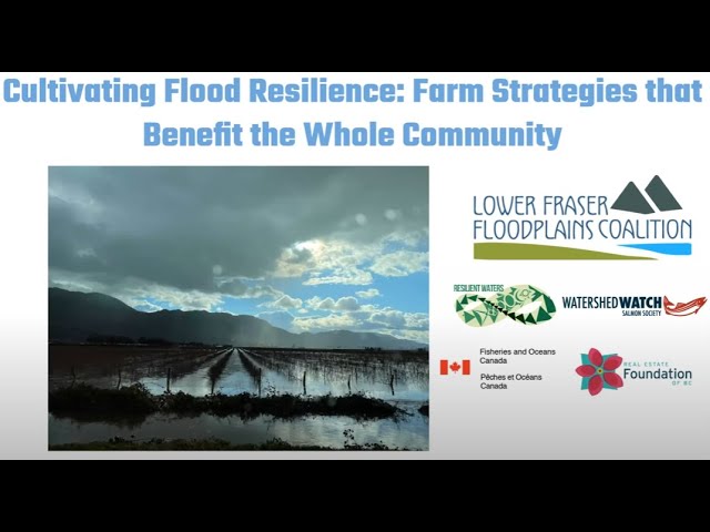 Webinars Resilient Waters