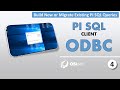 Build New or Migrate Existing PI SQL Queries: PI SQL Client ODBC