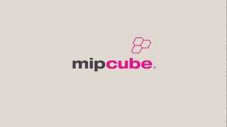 MIPCube 2013 instream