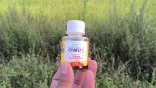 30 days challenge   owdc original waste decomposer  first days #natural #organic