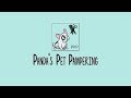 What is Panda's Pet Pampering | Introducing Our Services