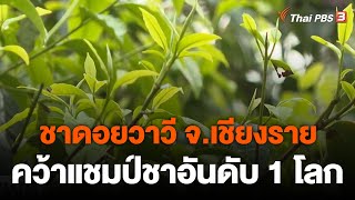 ชาดอยวาวี จ.เชียงราย คว้าแชมป์ชาอันดับ 1 โลก | ข่าวค่ำมิติใหม่ | 4 ธ.ค. 65