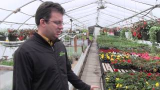 The Blomidon Greenhouses Are In Full Bloom