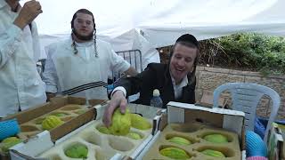 Sukkot Vibes in Mea She'arim, Jerusalem אווירת ערב סוכות בירושלים | 2023