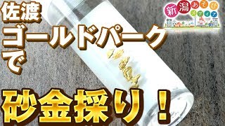 ゴールドパークで大量砂金採り！！～佐渡旅行編～【スポット紹介】