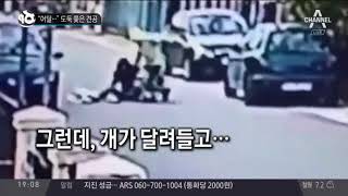 “어딜…” 도둑 쫓은 견공