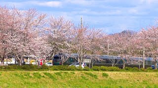 ４Ｋ版 87系 トワイライトエクスプレス瑞風 高津駅 20220401　Series87 Twilight Express Mizukaze 01Apr2022 Takatsu Station 4K