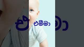 චූටි මැණිකට නමක්