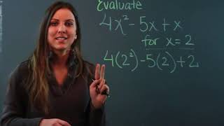 What Does Evaluating a Polynomial Mean?
