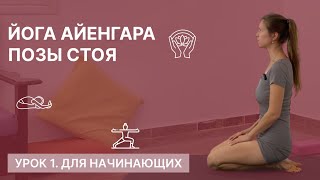 Йога Айенгара - Позы стоя. Йога для начинающих. 70 минут