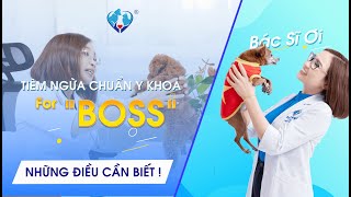 BÁC SĨ ƠI| NHỮNG ĐIỀU CẦU BIẾT VỀ TIÊM NGỪA TRÊN CHÓ