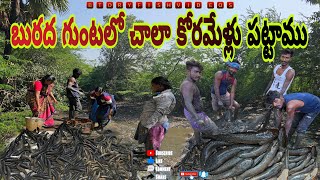 బురదగుంటలో పెద్ద పెద్ద కొర్రమేళ్లు చాలా పట్టాము#fishing #livefish #penumudi #fishcooking #dryfish