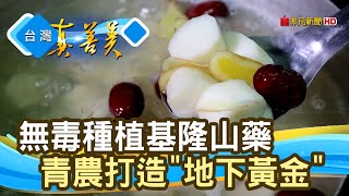 饕客夢幻逸品“基隆山藥”｜綠竹園山薯農場｜【台灣真善美】2022.04.03