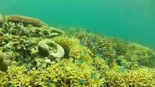 Kangean Islands Backpacker Indonesia  2013 - Watch in HD bro!