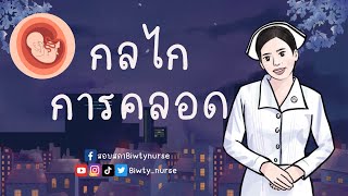 กลไกการคลอด #ติววันละคลิป #biwtynurse