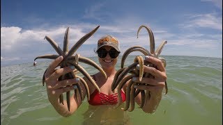 Revealing Sanibel Island's BEST Kept SECRET!