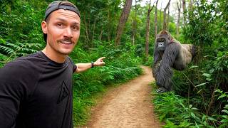 5 Hours with Wild Mountain Gorillas (World's Best Wildlife Encounter?)