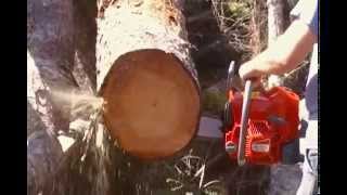 Efco MT 8200 Chainsaw at Tyson Mowers