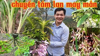 Những hành trình tìm lan may mắn nhất của tôi, đi tìm lan rừng tập 21 | phong lan rừng pv