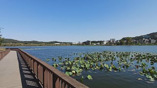 An ordinary lake? No, it's a special lake.