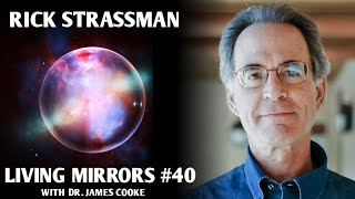 DMT: the spirit molecule with Rick Strassman | Living Mirrors #40