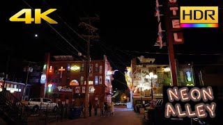 2023 Pueblo Neon Alley