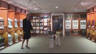 Funeral Home utilizes therapy dogs