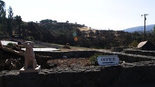 Long Recovery for Iconic Napa Pet Cemetery After October Fire | KQED News
