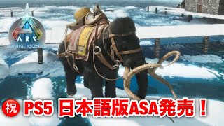 【ゆっくり実況】ARK Survival Ascended PS5 　日本語版ASA発売とは関係なく、木材採取はやっぱりマンモスと改めて思った件　#13