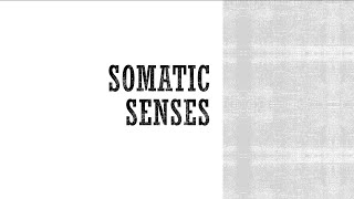 Somatic Senses - Anatomy \u0026 Physiology