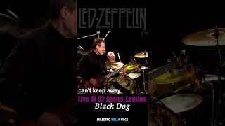 Led Zeppelin - Black Dog (Celebration Day - Live At O2 Arena, London 2007)