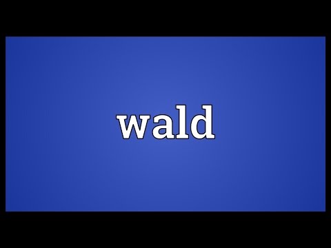 What is the meaning of Wald in English?