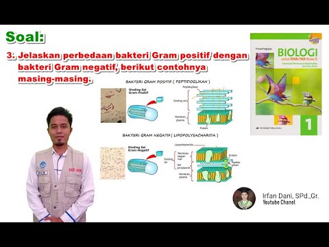 Jelaskan Perbedaan Bakteri Gram Positif Dengan Bakteri Gram Negatif ...