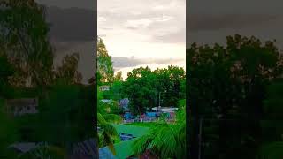 সুন্দর বিকেল #shortvideo #shortsvideo #sunset