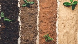 Soil Classification with Deep Learning | 100% Accuracy using CNN | Kaggle Challenge