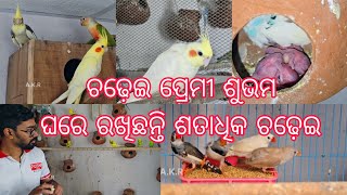 BIRD 🐦 LOVER SUBHAM PATTNAIK GHARE RAKHICHANTI SATADHIKA CHADEI KICHIRI MICHIRI SABDA SUNIBA PAIN